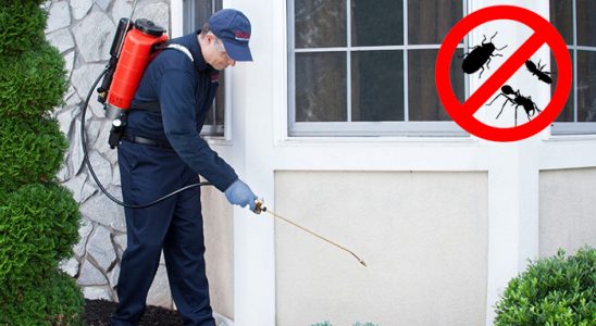 Korkuteli Kene İlaçlama böcek ilaçlama ve haşere kontrolü — ilaclama-tr.com